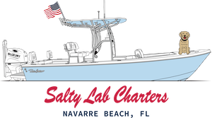 Salty Lab Charters